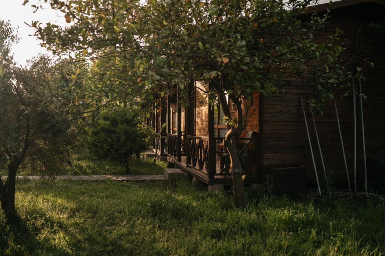 Serenity Bungalows Cirali Exterior photo
